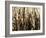 Mystic Forest 7963-Rica Belna-Framed Giclee Print