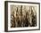 Mystic Forest 7963-Rica Belna-Framed Giclee Print