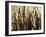 Mystic Forest 7963-Rica Belna-Framed Giclee Print