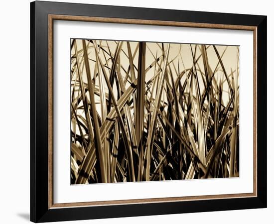 Mystic Forest 7963-Rica Belna-Framed Giclee Print