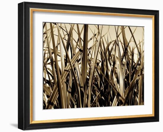 Mystic Forest 7963-Rica Belna-Framed Giclee Print