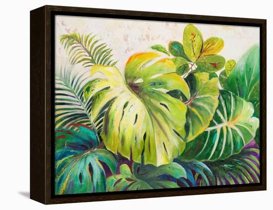 Mystic Garden I-Patricia Pinto-Framed Stretched Canvas