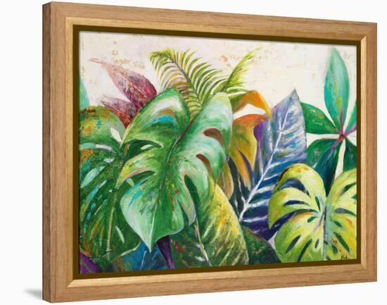 Mystic Garden II-Patricia Pinto-Framed Stretched Canvas