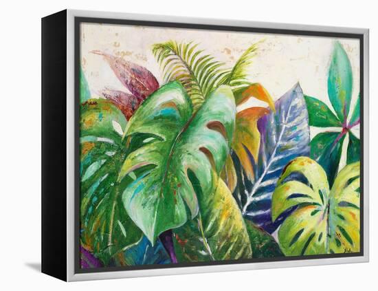 Mystic Garden II-Patricia Pinto-Framed Stretched Canvas