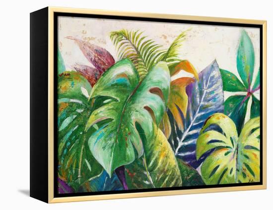 Mystic Garden II-Patricia Pinto-Framed Stretched Canvas