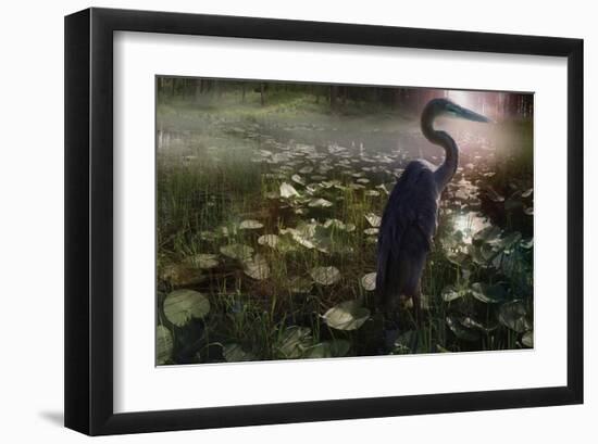 Mystic Heron-Steve Hunziker-Framed Art Print