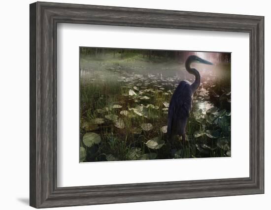 Mystic Heron-Steve Hunziker-Framed Art Print