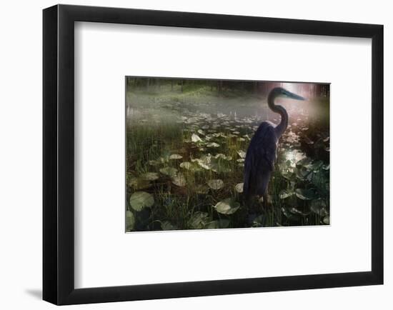 Mystic Heron-Steve Hunziker-Framed Art Print