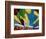 Mystic Sticks-Herb Dickinson-Framed Photographic Print