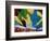 Mystic Sticks-Herb Dickinson-Framed Photographic Print