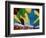 Mystic Sticks-Herb Dickinson-Framed Photographic Print