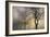 Mystic Trees with Owl-Cora Niele-Framed Photographic Print