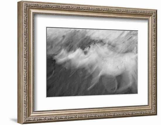 Mystic White-Milan Malovrh-Framed Photographic Print