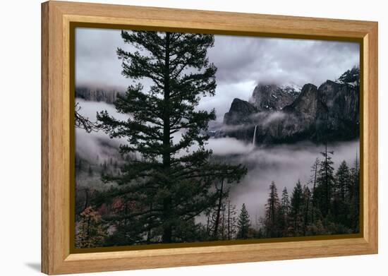 Mystical Fog Fills Yosemite Valley at Bridalveil Falls January National Parks-Vincent James-Framed Premier Image Canvas