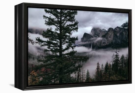 Mystical Fog Fills Yosemite Valley at Bridalveil Falls January National Parks-Vincent James-Framed Premier Image Canvas