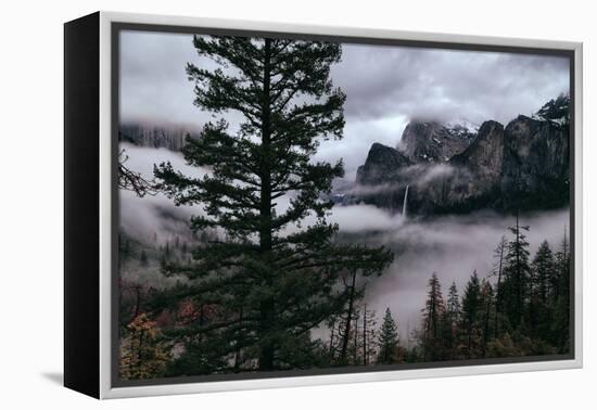 Mystical Fog Fills Yosemite Valley at Bridalveil Falls January National Parks-Vincent James-Framed Premier Image Canvas