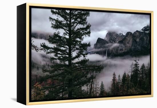 Mystical Fog Fills Yosemite Valley at Bridalveil Falls January National Parks-Vincent James-Framed Premier Image Canvas