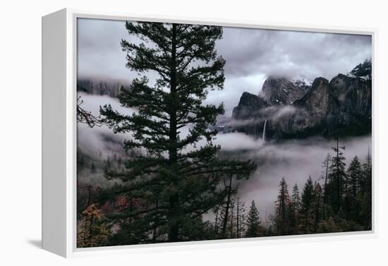 Mystical Fog Fills Yosemite Valley at Bridalveil Falls January National Parks-Vincent James-Framed Premier Image Canvas