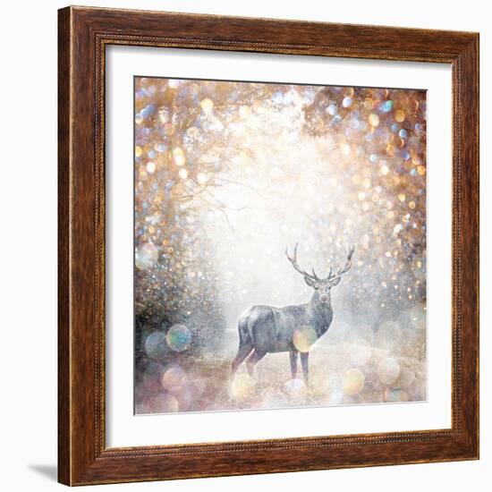 Mystical Forest 1-Beau Jakobs-Framed Art Print