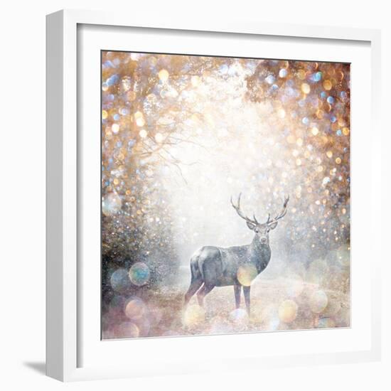 Mystical Forest 1-Beau Jakobs-Framed Art Print