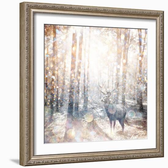 Mystical Forest 2-Beau Jakobs-Framed Art Print