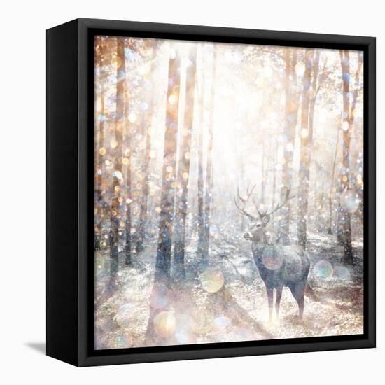 Mystical Forest 2-Beau Jakobs-Framed Stretched Canvas