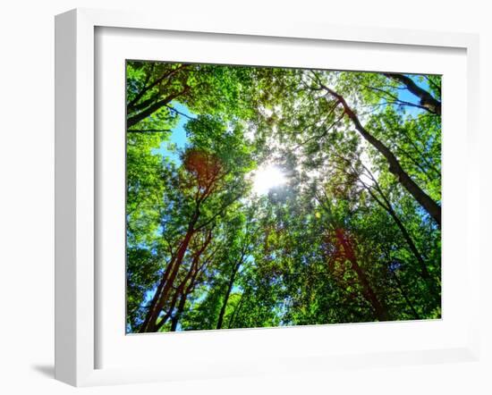 Mystical Forest Sky-Markus Bleichner-Framed Art Print