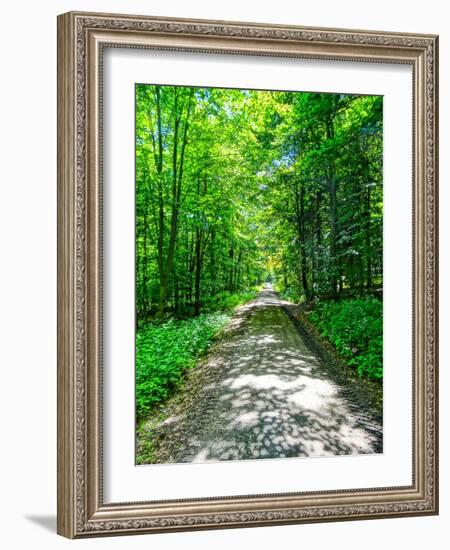 Mystical Forest Walk into the Green-Markus Bleichner-Framed Art Print