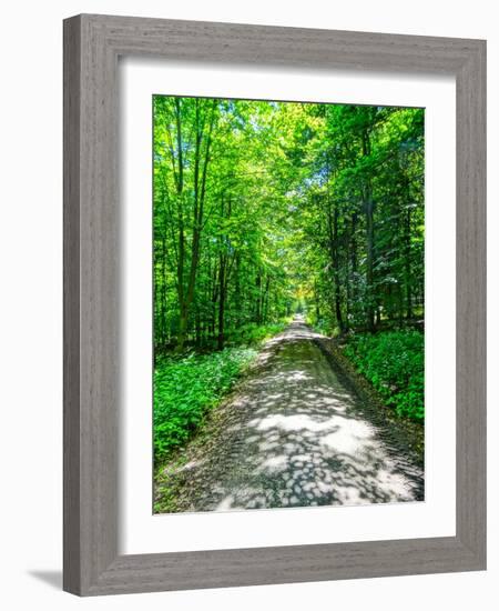 Mystical Forest Walk into the Green-Markus Bleichner-Framed Art Print