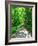 Mystical Forest Walk into the Green-Markus Bleichner-Framed Art Print