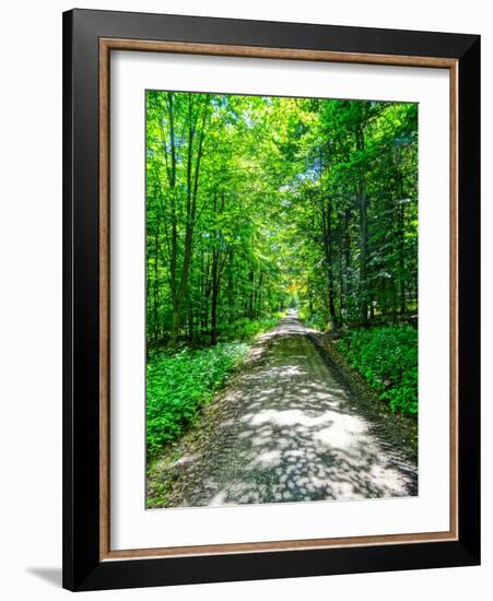 Mystical Forest Walk into the Green-Markus Bleichner-Framed Art Print