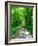 Mystical Forest Walk into the Green-Markus Bleichner-Framed Art Print