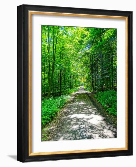 Mystical Forest Walk into the Green-Markus Bleichner-Framed Art Print