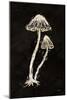 Mystical Halloween Mushrooms II-Mary Urban-Mounted Art Print