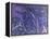 Mystical II Blue-Herb Dickinson-Framed Premier Image Canvas