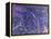 Mystical II Blue-Herb Dickinson-Framed Premier Image Canvas