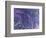 Mystical II Blue-Herb Dickinson-Framed Photographic Print