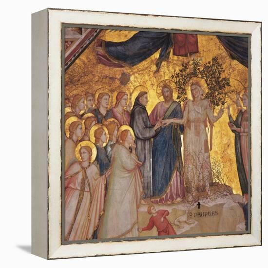 Mystical Marriage of St. Francis to Poverty-Giotto di Bondone-Framed Stretched Canvas