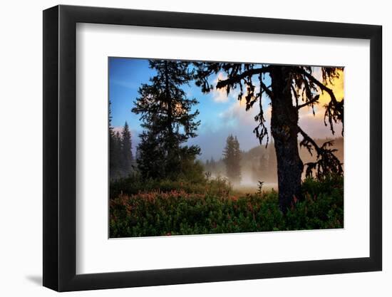 Mystical Meadow at Mount Hood, National Forest Oregon-Vincent James-Framed Photographic Print