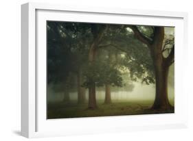 Mystical Moments-Ellen Borggreve-Framed Photographic Print