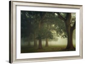 Mystical Moments-Ellen Borggreve-Framed Photographic Print
