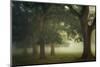 Mystical Moments-Ellen Borggreve-Mounted Photographic Print