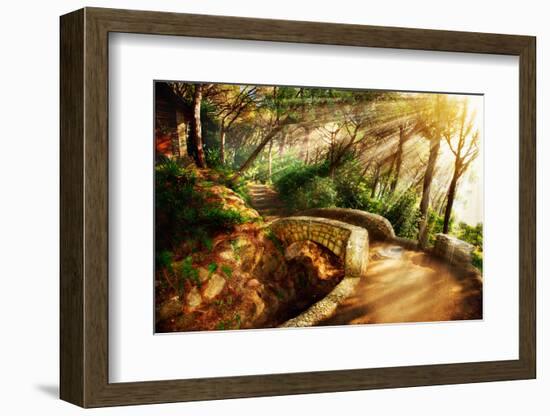 Mystical Park. Old Trees and Ancient Stone Bridge. Pathway. Misty Forest. Fantasy Landscape-Subbotina Anna-Framed Photographic Print