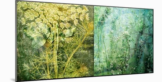 Mystical Photographic Layer Works from Flowers and Textures-Alaya Gadeh-Mounted Photographic Print