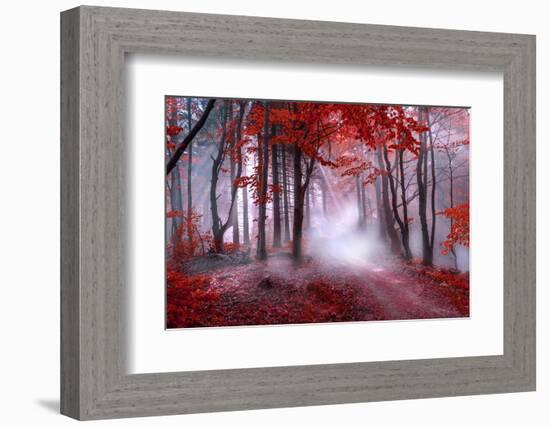 Mystical Red Forest-null-Framed Photographic Print