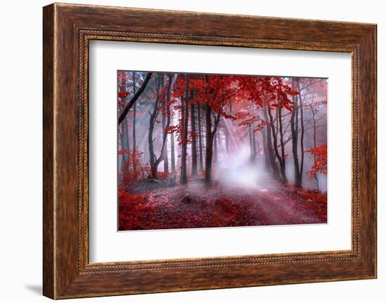 Mystical Red Forest-null-Framed Photographic Print