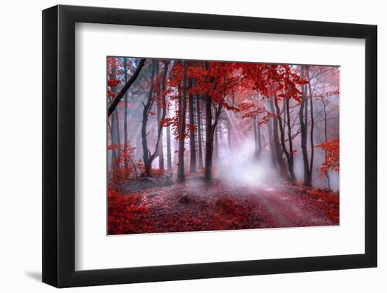 Mystical Red Forest-null-Framed Photographic Print