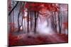 Mystical Red Forest-null-Mounted Photographic Print