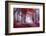 Mystical Red Forest-null-Framed Photographic Print