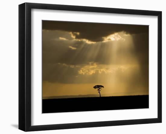 Mystical Sunset on Camp in the Maasai Mara, Kenya-Joe Restuccia III-Framed Photographic Print